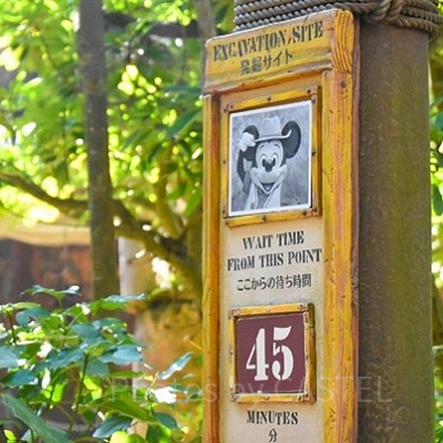 子連れディズニーの失敗談⑤：アトラクション・グリーティング問題