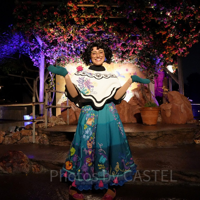 カリフォルニア・アナハイムディズニー：