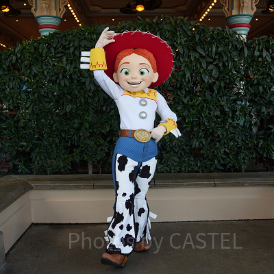 カリフォルニアアナハイムディズニー：持ち物