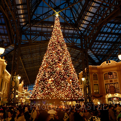 ディズニーランドのクリスマスツリー
