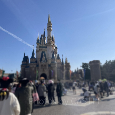 ディズニーランド混雑状況の現地レポート：パレード待ち
