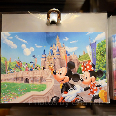 ディズニーランド