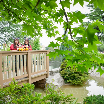 ディズニーランド