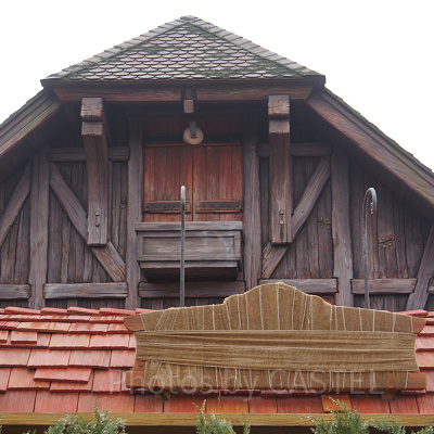 ディズニーランドクイズ【ニューファンタジーランド】