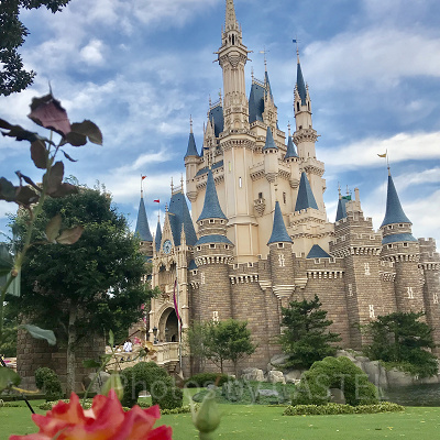 ディズニーランドのスーベニア