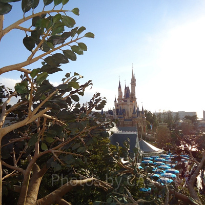 SNS映えするディズニーランドのフォトスポット