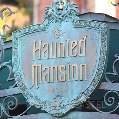 ディズニーランドの絶叫乗り物⑤