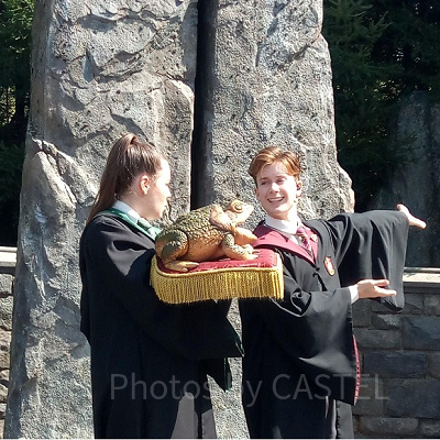 「フロッグ・クワイア」は原作にも登場するの？