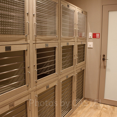 ドッグキャビン