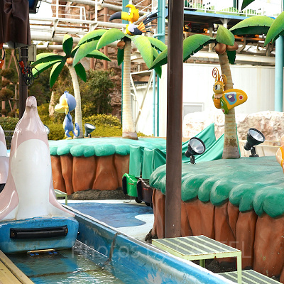 ドルフィンパラダイス