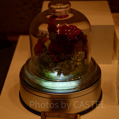 ドーム型容器×草花