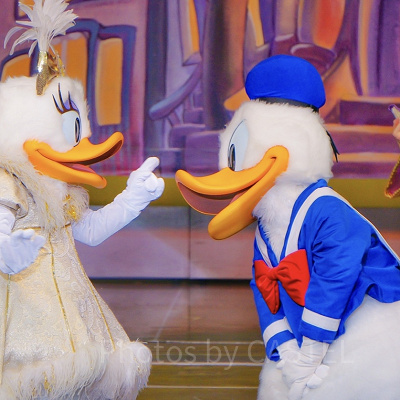 ドナルドとデイジー