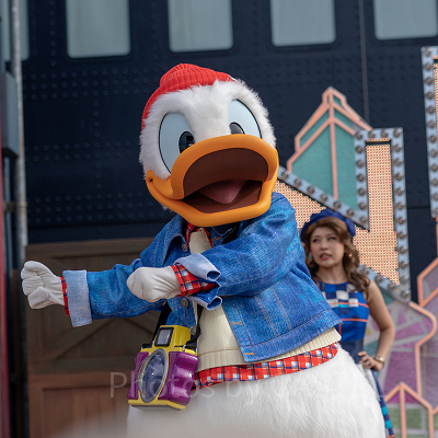 ドナルドダック