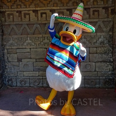 ドナルドダック