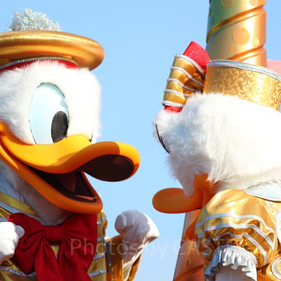 主役はドナルド！