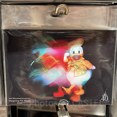 ドナルド写真（イマジニング・ザ・マジックグッズ　2023/10/19発売）