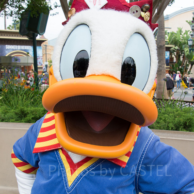 ドナルドの誕生日プログラム「ハッピーバースデー・トゥ・ミー！」