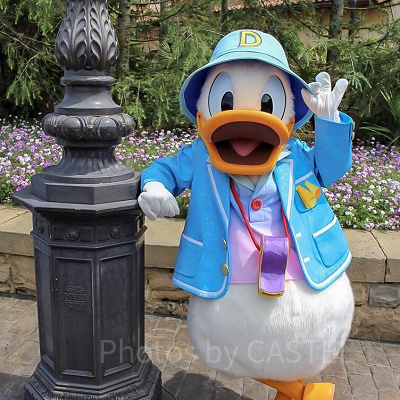 ドナルドのプロフィール