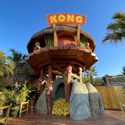 ドンキーコングの家