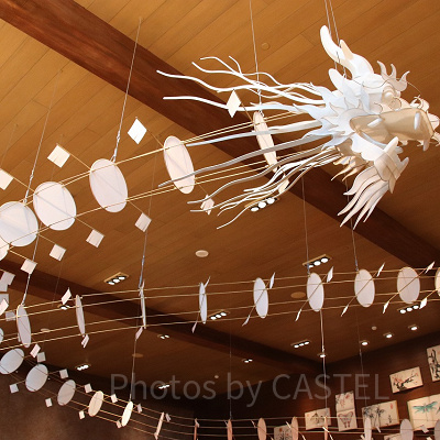 ドラゴン・ウィンド店内