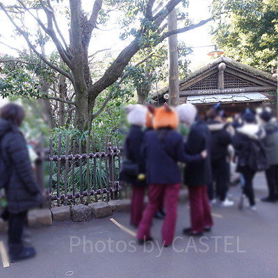 食べ歩きの混雑状況／15:10