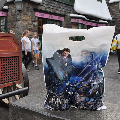 エコバッグは本当に必要？