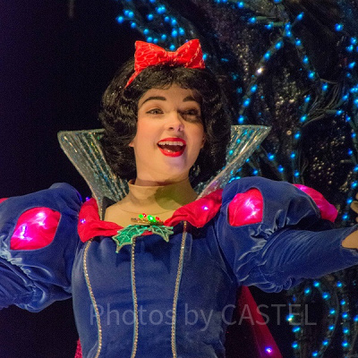 エレクトリカルパレード 白雪姫（TDL・夜）<br /> 設定：300㎜ SS1/100 F6.3 ISO3200