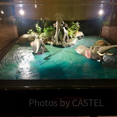 ジャングルクルーズでゲストを歓迎するゾウたち