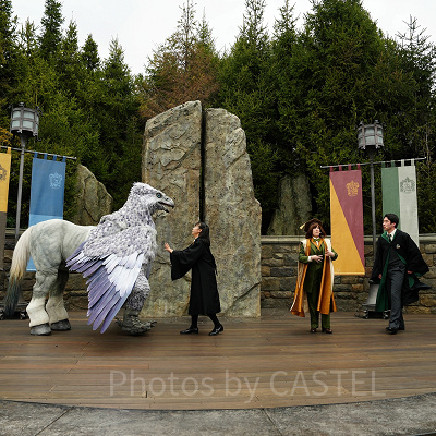 USJ魔法生物との出会い/ヒッポグリフ