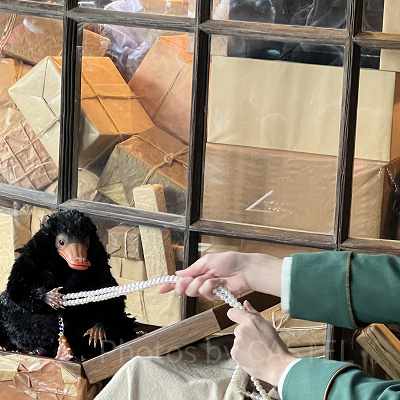 USJ魔法生物との出会い/ニフラー