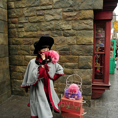 USJ魔法生物との出会い/ピグミーパフ