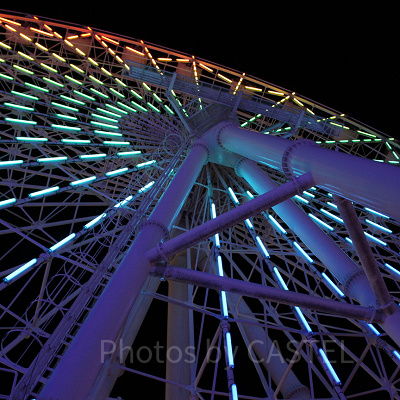 幻想的な夜空の空中散歩を楽しんで