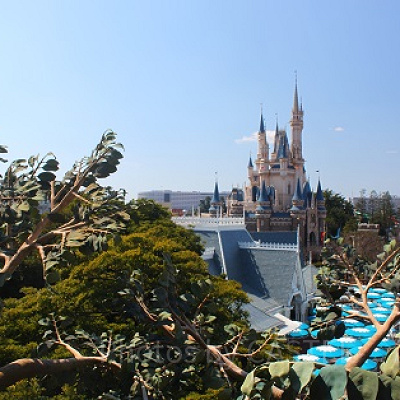 スイスファミリー・ツリーハウスで絶景を堪能