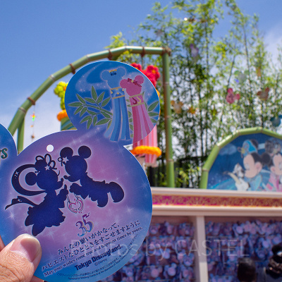 6月のディズニーを楽しもう！4つのポイントをおさえれば安心