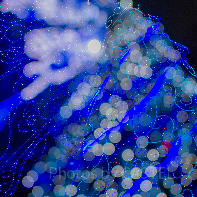 エレクトリカルパレードを楽しもう♪