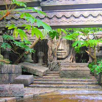 春のジャングルクルーズを楽しもう