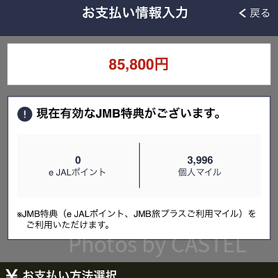 お支払い情報を入力（JAL）