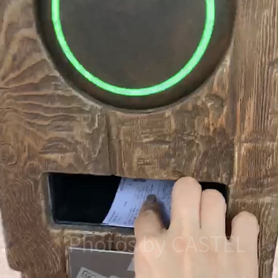 パスポートを使って入場