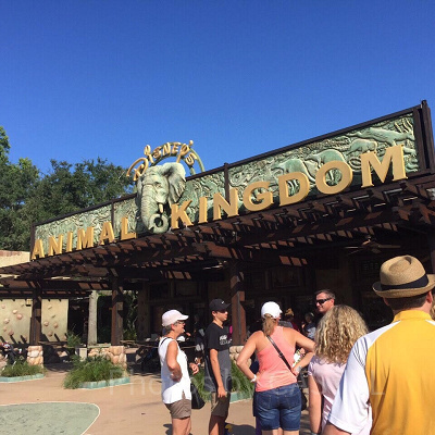 ディズニー・アニマル・キングダムのエントランス