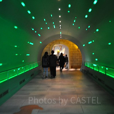 スーパーニンテンドーワールドの入口