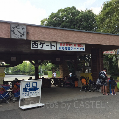 プールで遊び疲れても西ゲートならすぐ車に戻れる