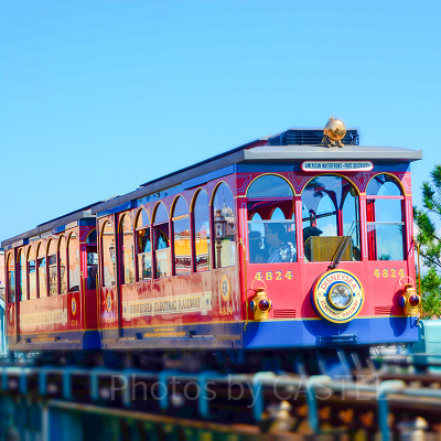 小さい子どもでも飽きない