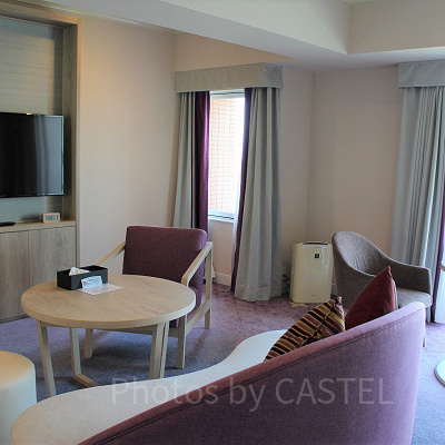 エグゼクティブスイートのリビングルーム