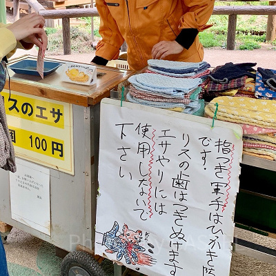 リスに餌やり体験！