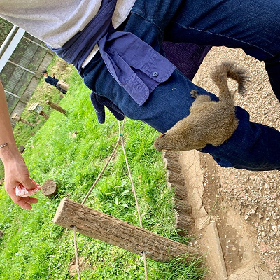 リスに餌やり体験！