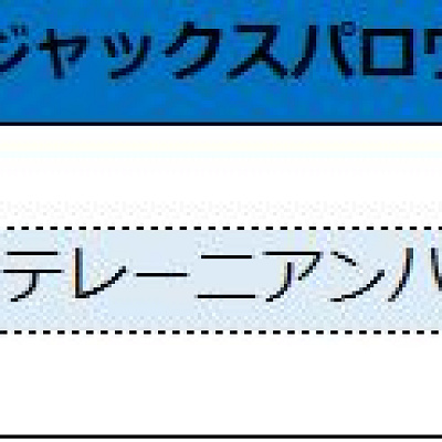 フェイスキャラクター