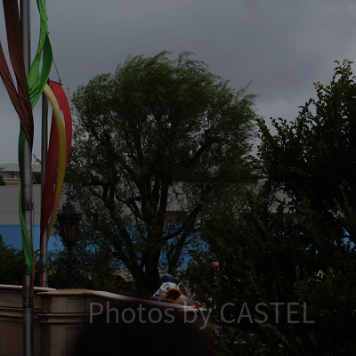 かすかなドナルド