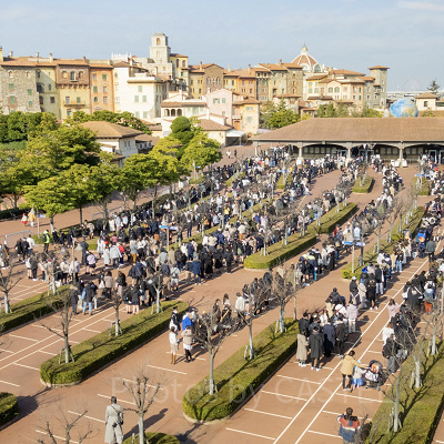 【2022年2月】ディズニーシーの混雑状況と現地レポ