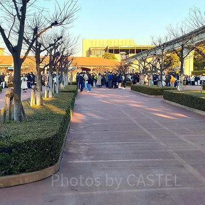 2023年2月ディズニーシー混雑状況レポート：サウスゲート（7:50頃）