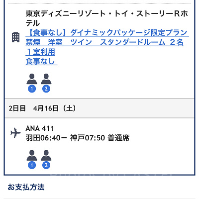 申込内容の最終確認（ANA）